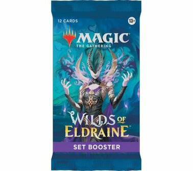 MTG Wilds of Eldraine Set Booster