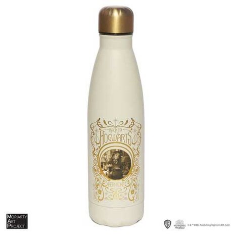 Insulated bottle 500ml - Hermione polyjuice - Harry Potter MAP4035