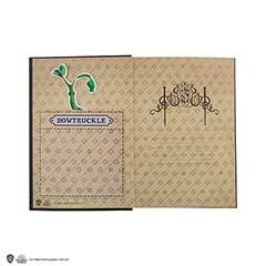 Hard cover notebook and bookmark - Newt Scamander MAP5102