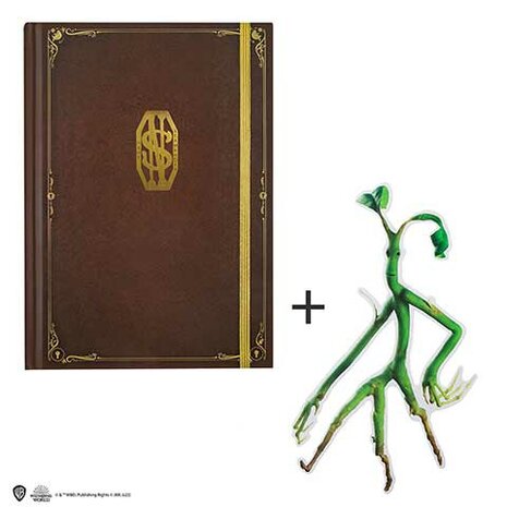 Hard cover notebook and bookmark - Newt Scamander MAP5102