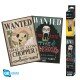 ONE PIECE - Set 2 Posters Chibi 52x35 - Wanted Brook & Chopper x4