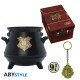 HARRY POTTER - Pck premium 3D mug+3D Keychain+Pin Hogwarts' suitcase