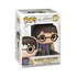 Pop! Harry Potter: Holiday - Harry Potter FUN51152_